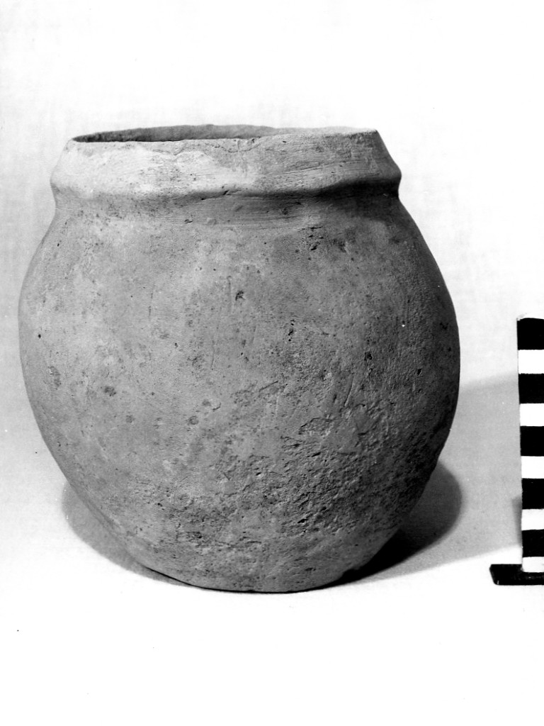 olla - produzione daunia (fine sec. IV a.C)