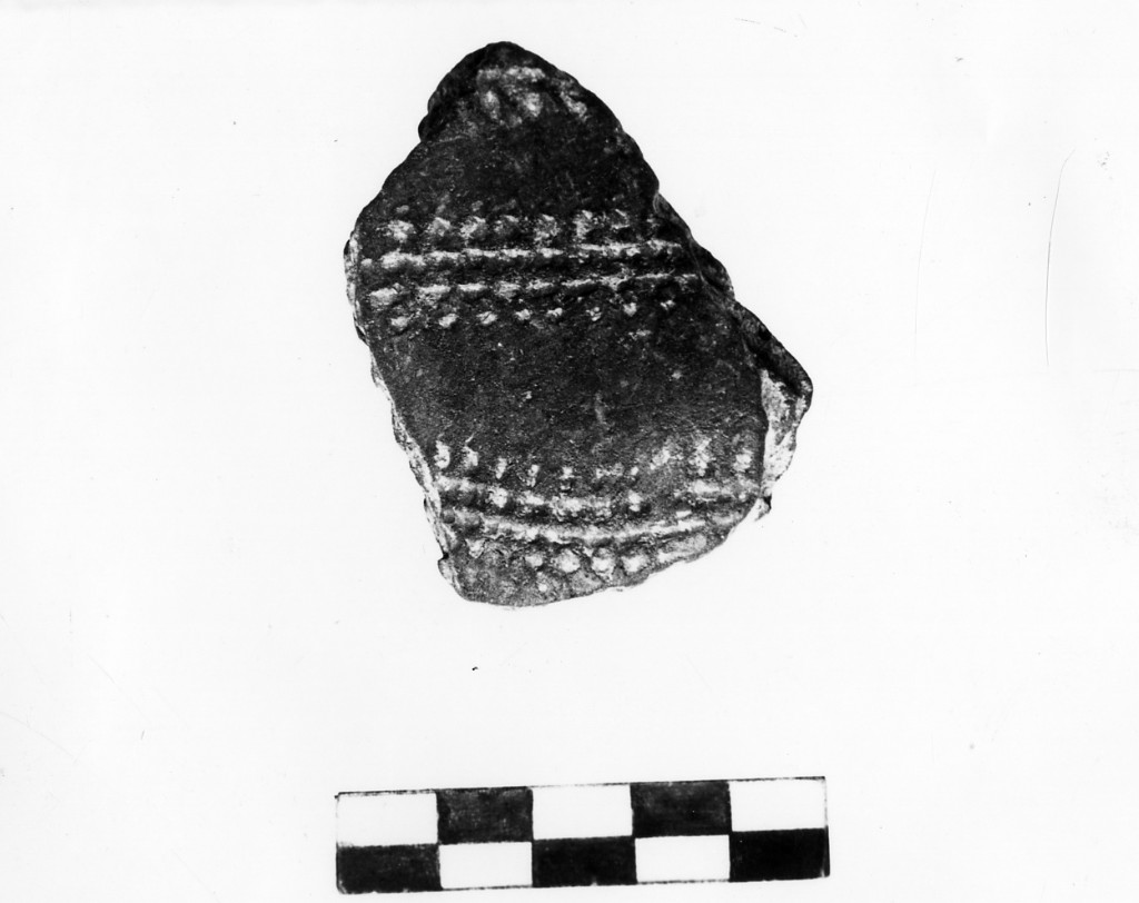 recipiente/ frammento - Cultura della ceramica impressa (Neolitico Inferiore)