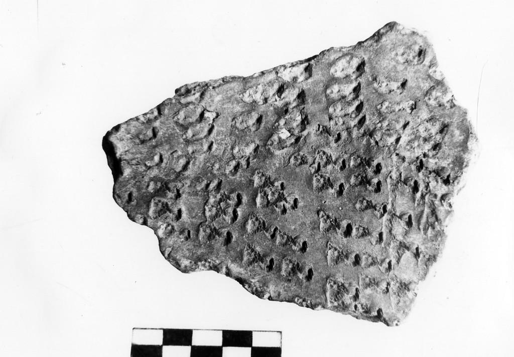 recipiente/ frammento - Cultura della ceramica impressa (Neolitico Inferiore)