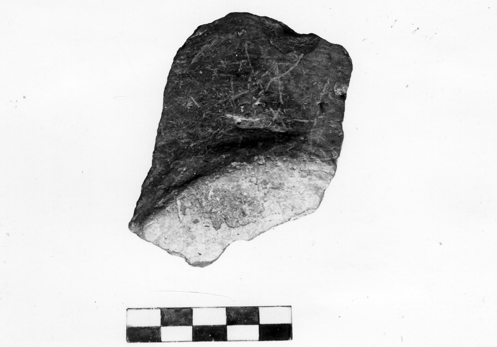 recipiente/ fondo - Stile del Guadone (Neolitico Inferiore)