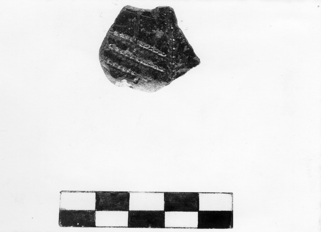 recipiente/ frammento - Stile del Guadone (Neolitico Inferiore)