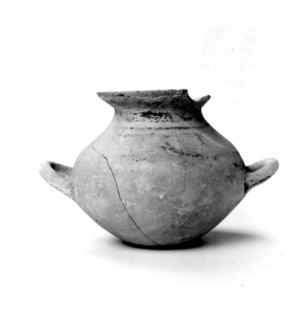 olla - fabbrica daunia (metà sec. VI a.C)