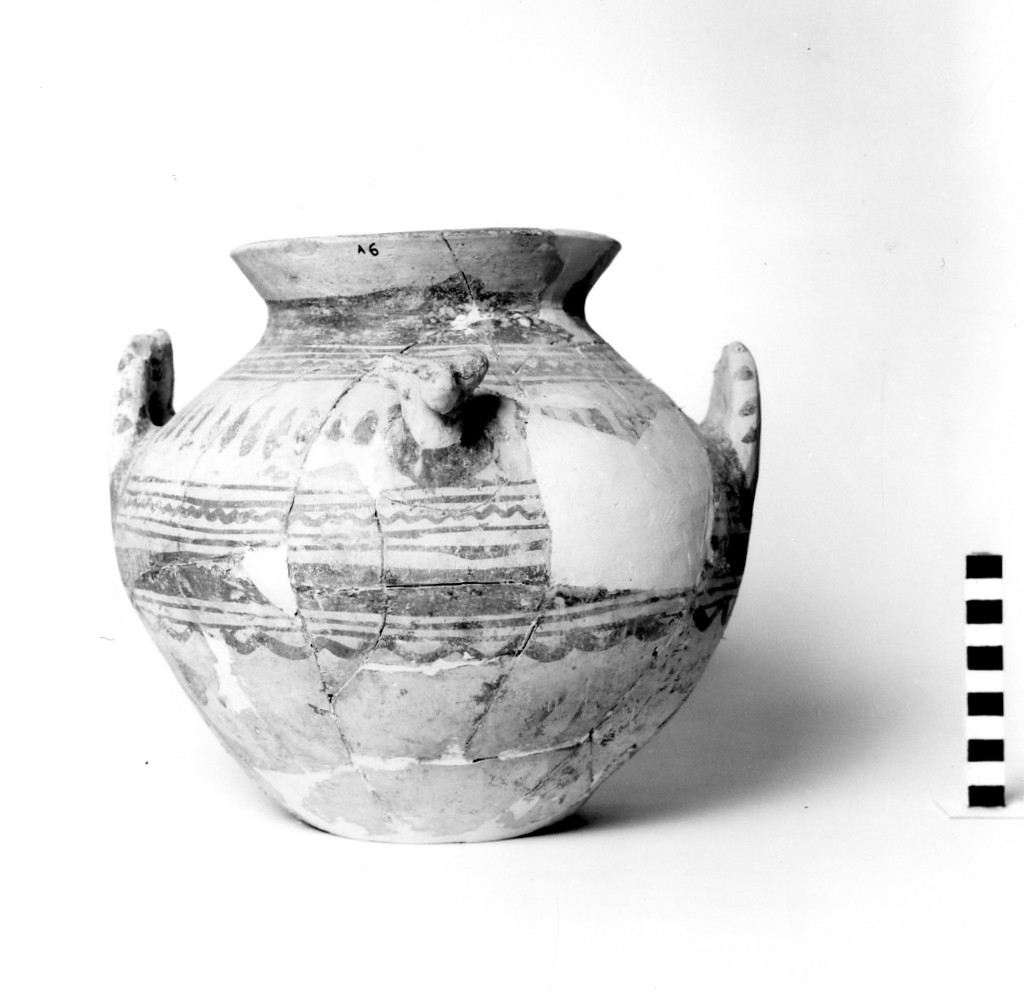 olla - fabbrica daunia; Daunio III (prima metà sec. IV a.C)