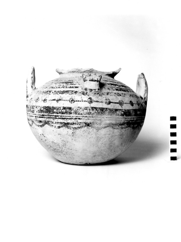 olla - fabbrica daunia; Daunio III (prima metà sec. IV a.C)