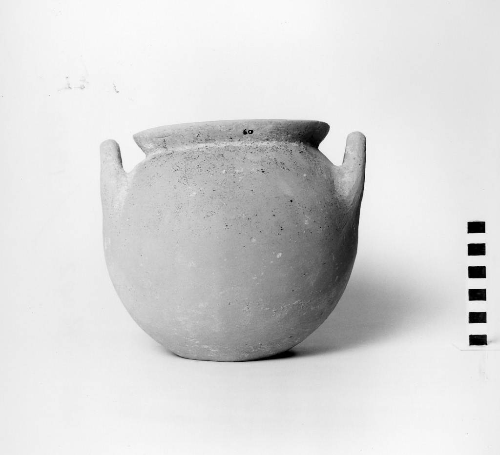 cratere a campana - fabbrica daunia; Daunio III (sec. IV a.C)