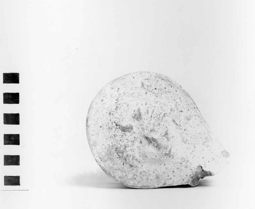 cratere a volute/ ansa - fabbrica apula (secc. IV - III a.C)