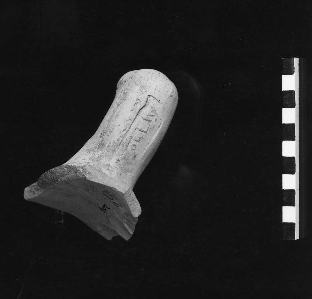 anfora/ ansa - fabbrica rodia (secc. IV - II a.C)