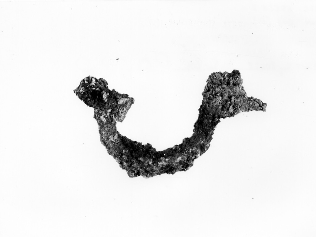 fibula - fabbrica locale (ultimo quarto sec. IV a.C)