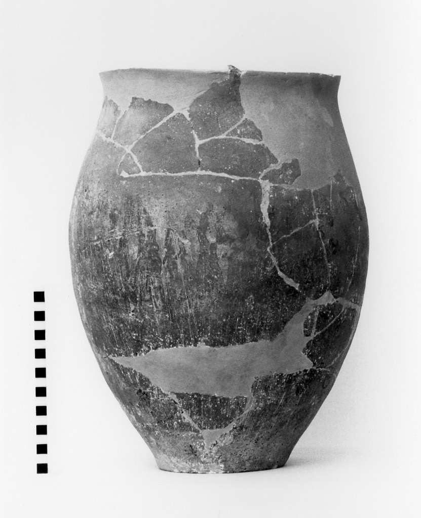 pithos - fabbrica locale (sec. VI a.C)