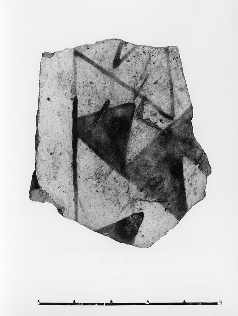 vaso/ frammento - ceramica dipinta tipo Serra d'Alto (Neolitico Recente)