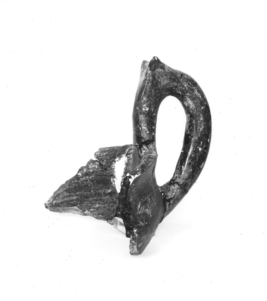 ciotola - subappenninico (sec. XIII a.C)