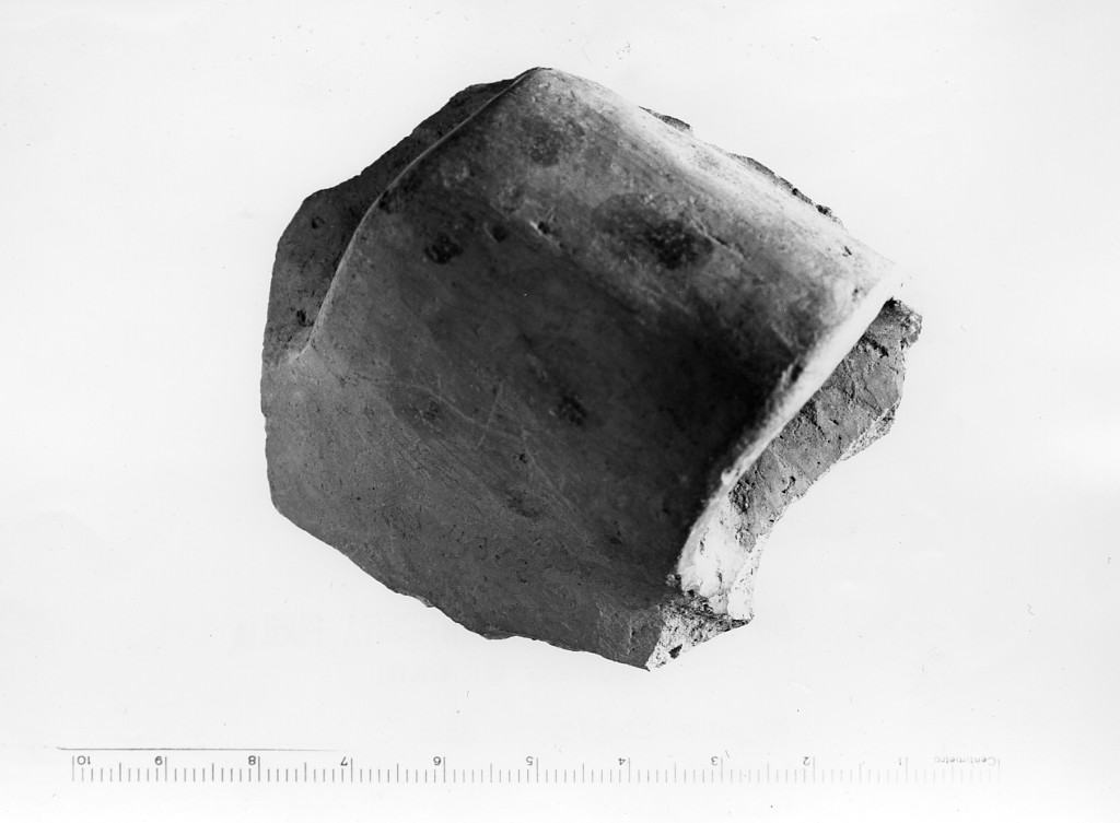 vaso/ ansa a nastro - Ceramica dipinta tipo Serra d'Alto (Neolitico Recente)