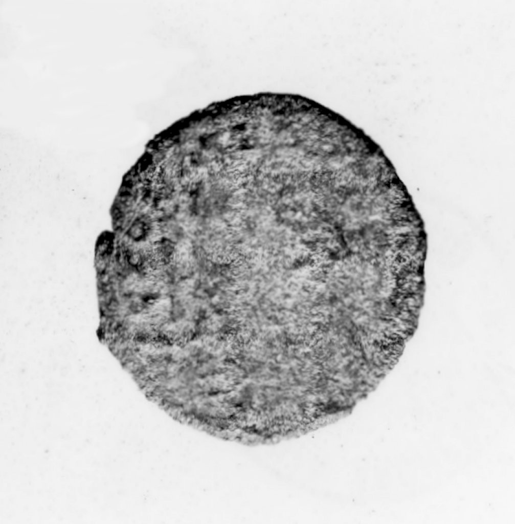 moneta - follis (sec. IV d.C)