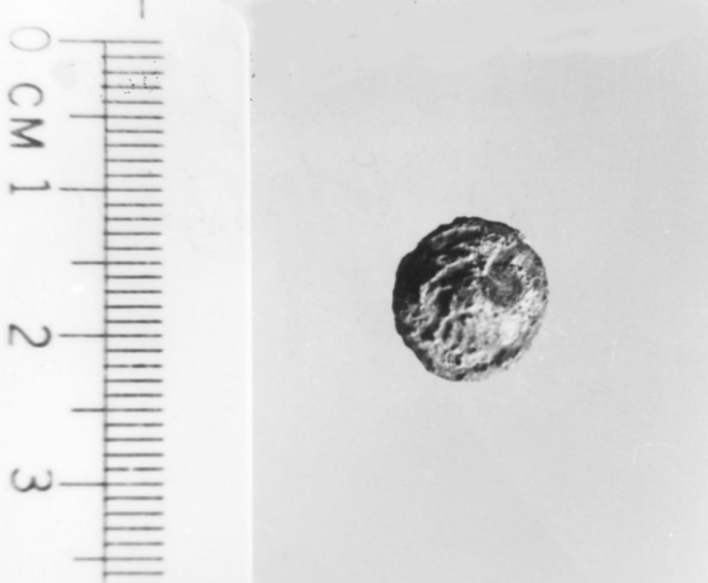 moneta (secc. III/ I a.C)