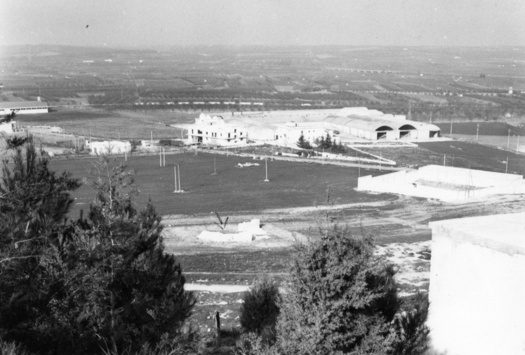 area di materiale mobile, area di frammenti fittili - Canosa di Puglia (BA)  (sec. VIII a.C)