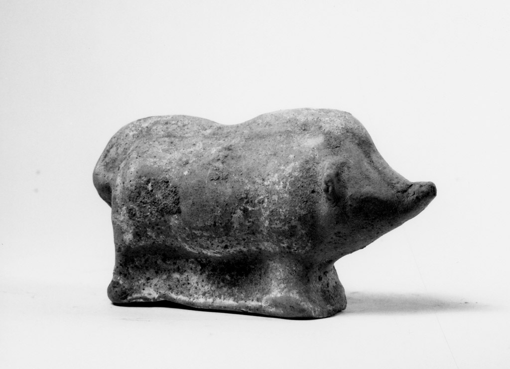 cinghiale (giocattolo, coroplastica) - produzione apula (secc. IV/ III a.C)