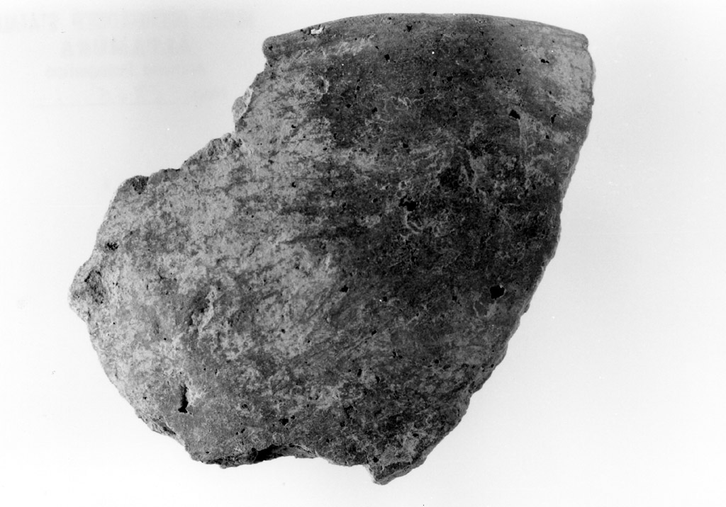 scodella/ frammento (età del bronzo)