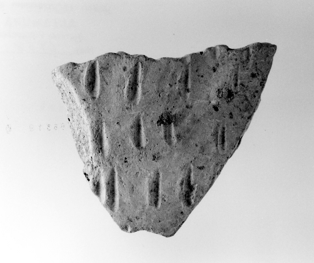 vaso/ parete (neolitico antico)