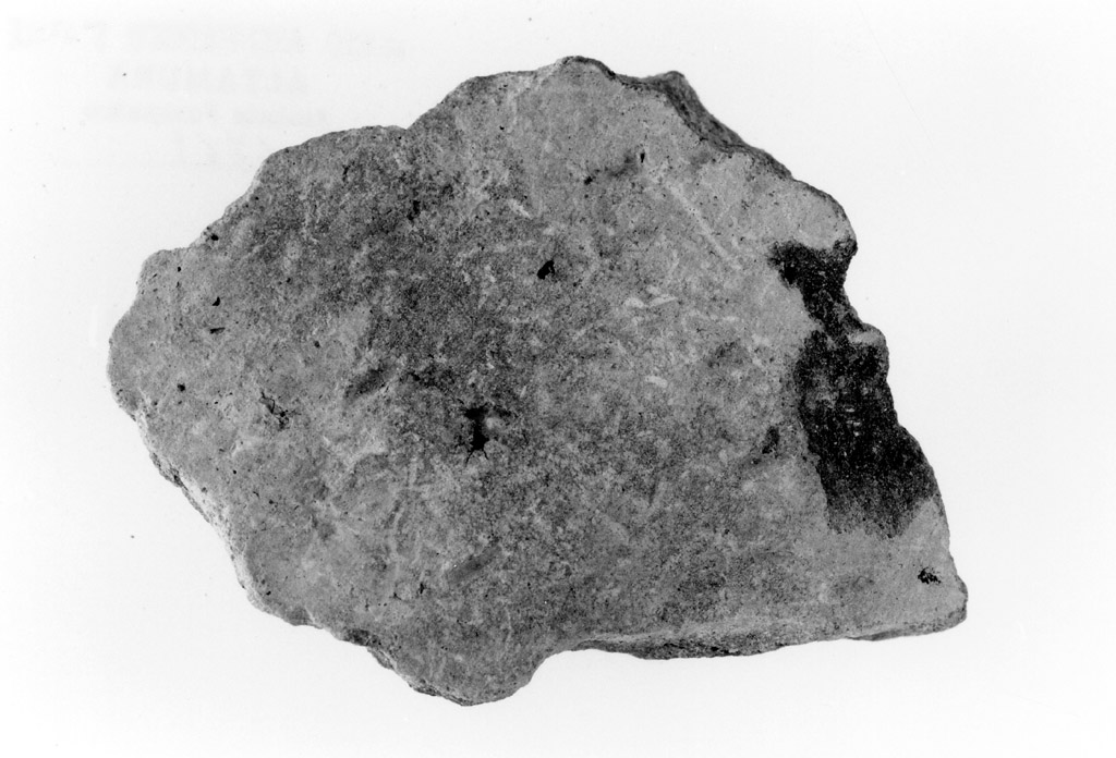 vaso/ parete (neolitico antico)