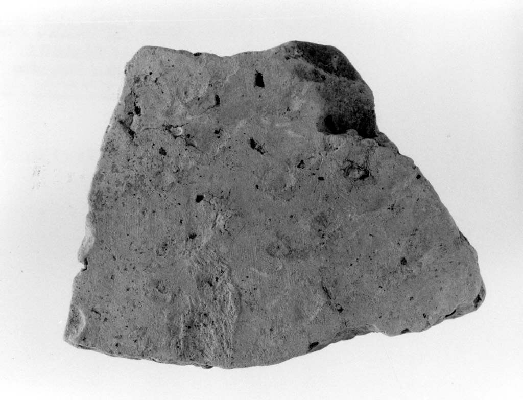 vaso/ parete (neolitico antico)