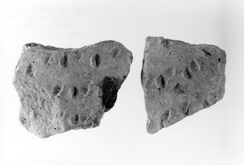 vaso/ parete (neolitico antico)