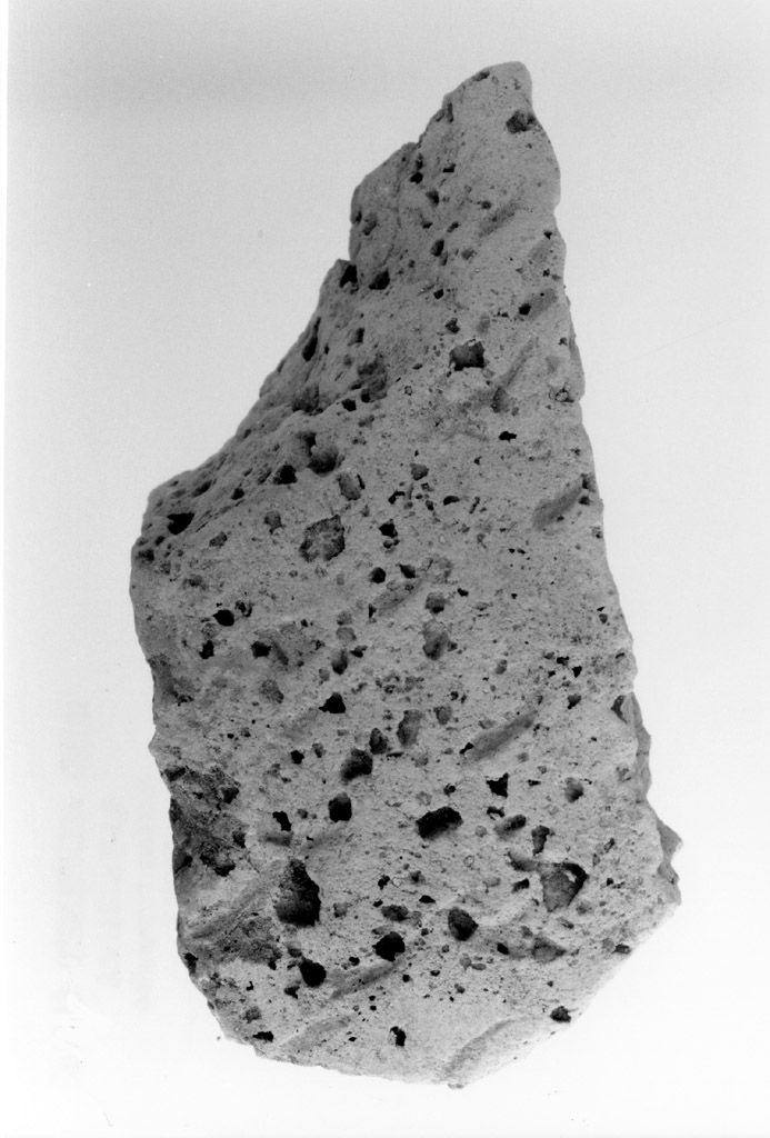 vaso/ parete (neolitico antico)