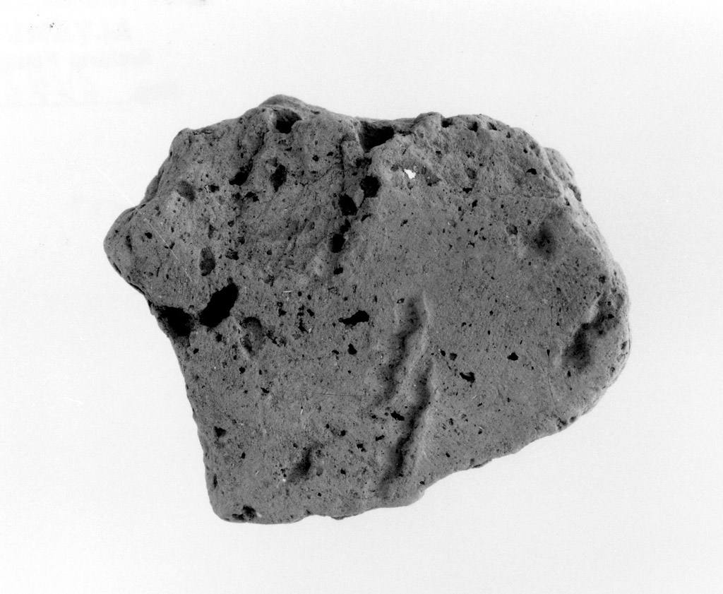 vaso/ parete (neolitico antico)