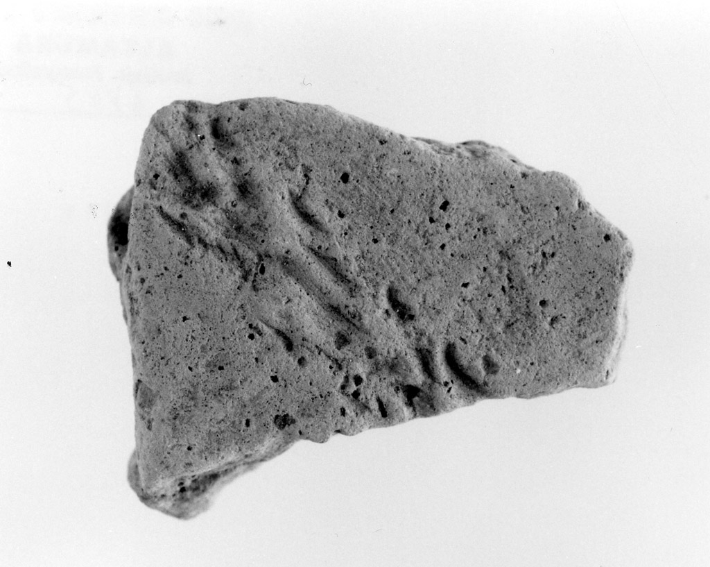 vaso/ parete (neolitico antico)