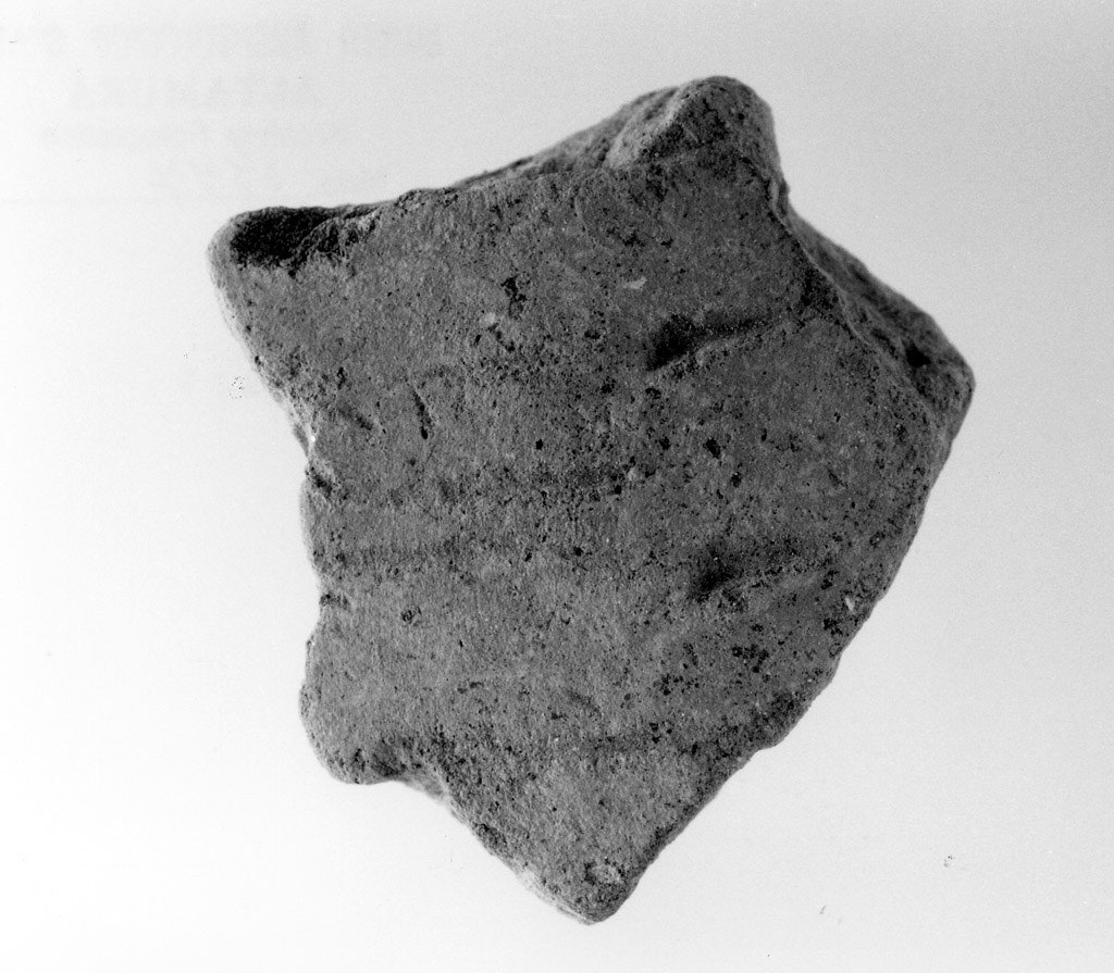 vaso/ parete (neolitico antico)