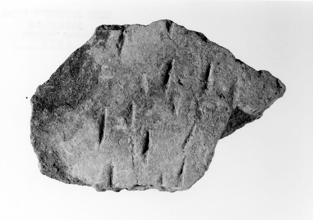 vaso/ parete (neolitico antico)