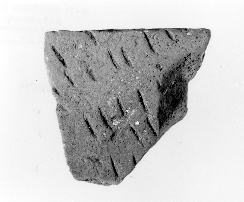 vaso/ parete (neolitico antico)