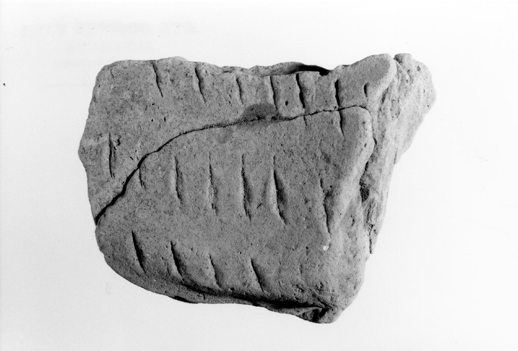 vaso/ parete (neolitico antico)