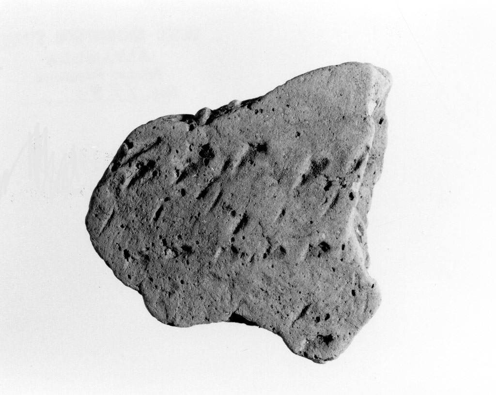 vaso/ parete (neolitico antico)