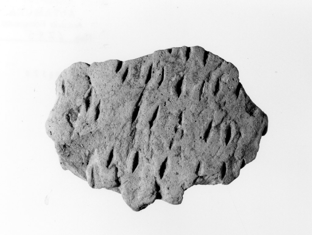 vaso/ parete (neolitico antico)