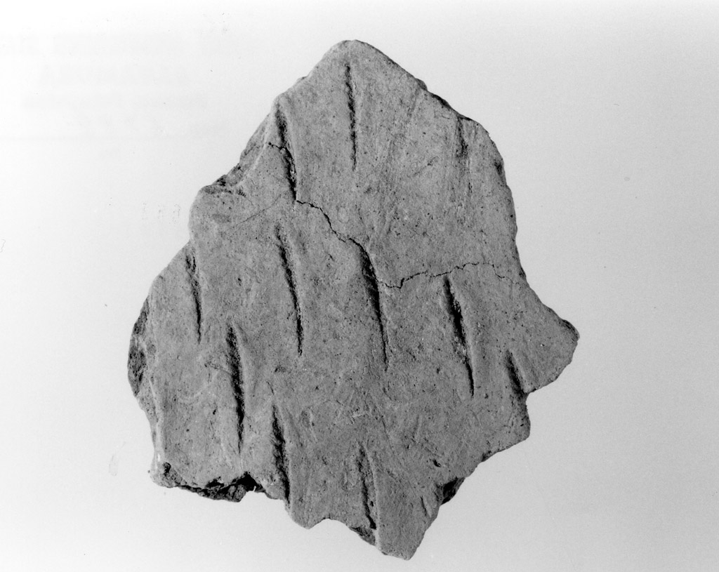 vaso/ parete (neolitico antico)