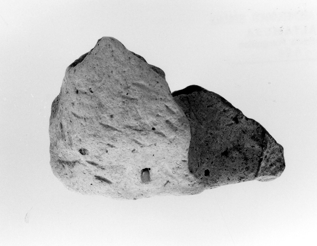 ansa (neolitico antico)