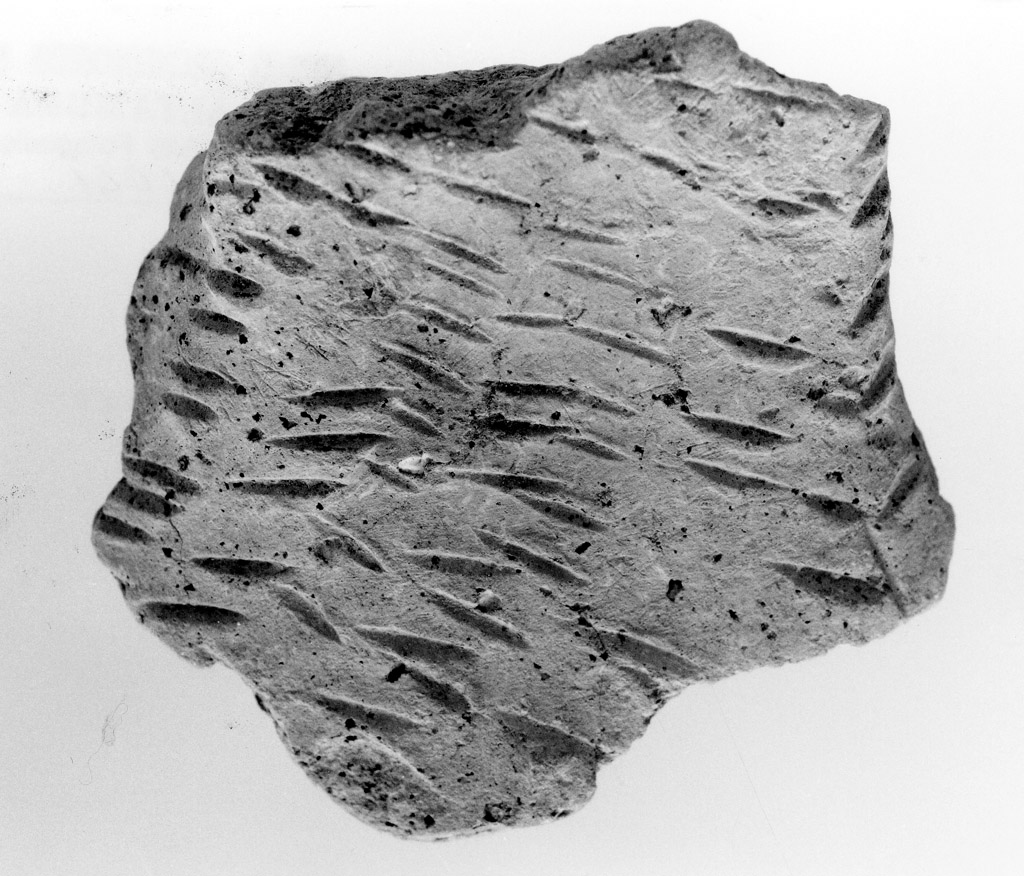 ansa (neolitico antico)