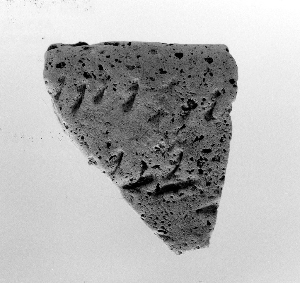 orlo (neolitico antico)