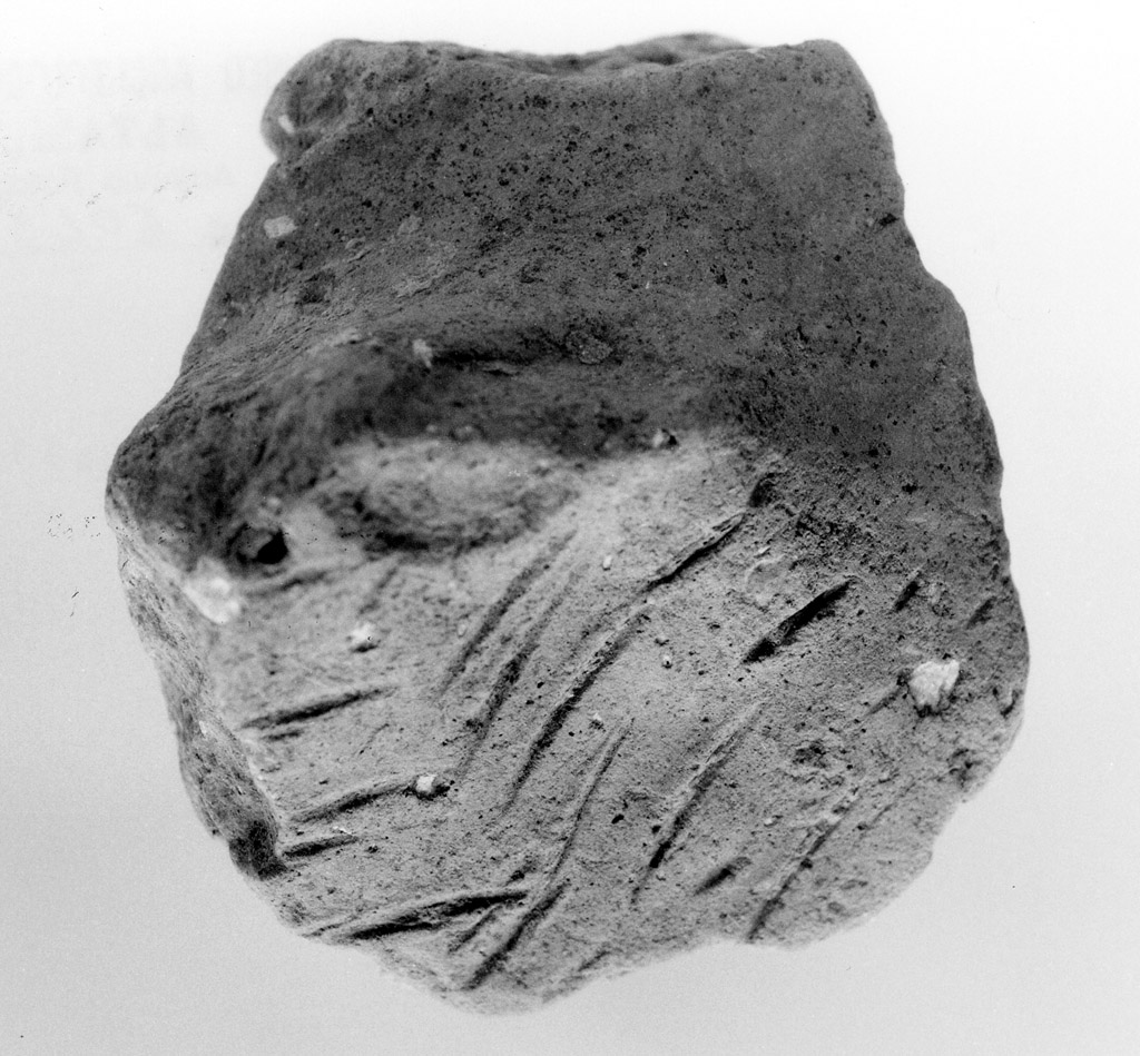 ansa (neolitico antico)