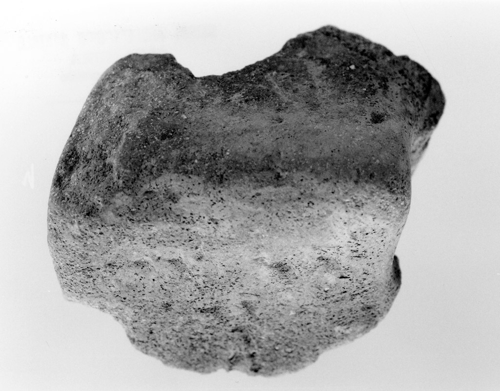 ansa (neolitico antico)