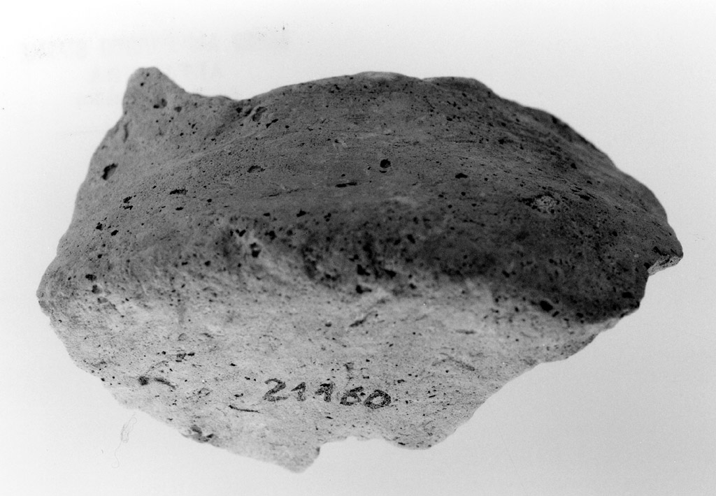 fondo (neolitico antico)