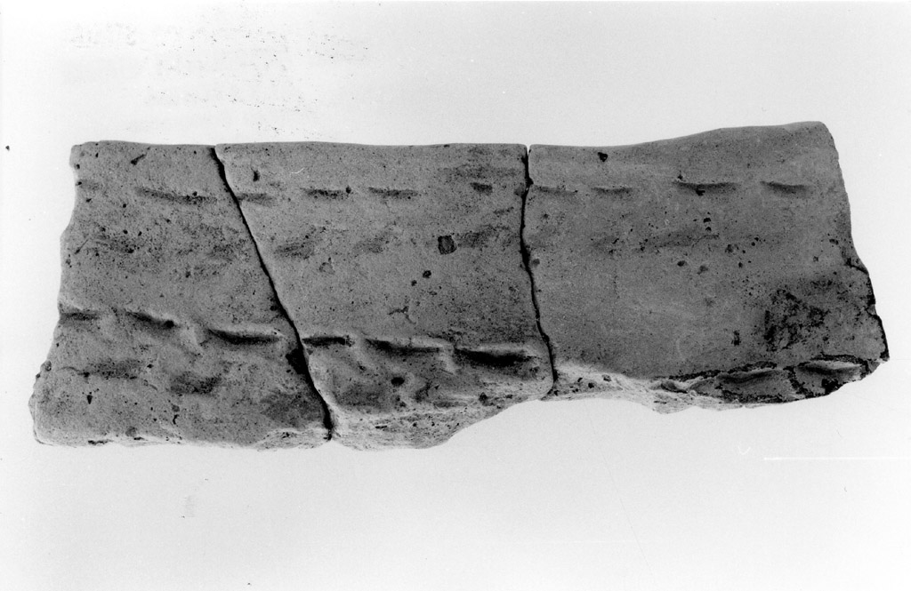 orlo (neolitico antico)