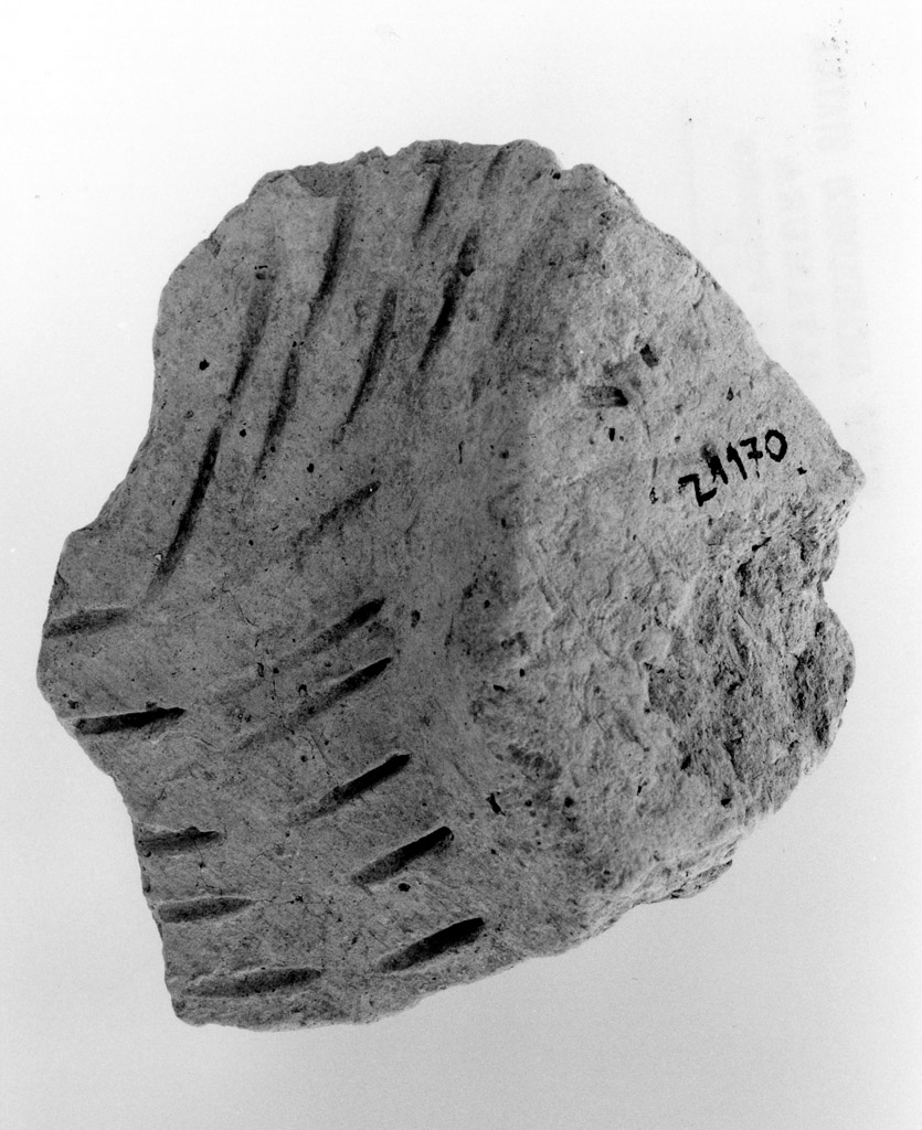 fondo (neolitico antico)