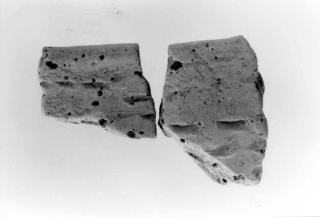 orlo (neolitico antico)