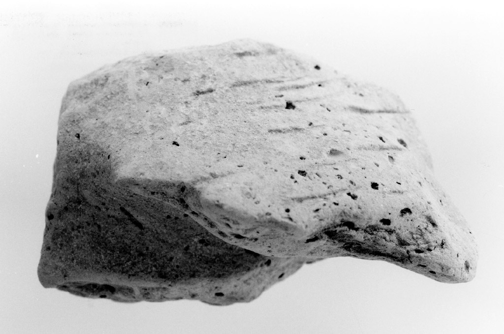 ansa (neolitico antico)