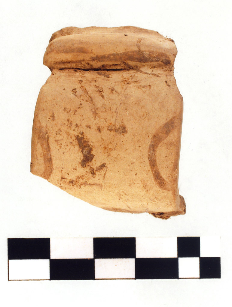 ansa ad anello / frammento (neolitico superiore)