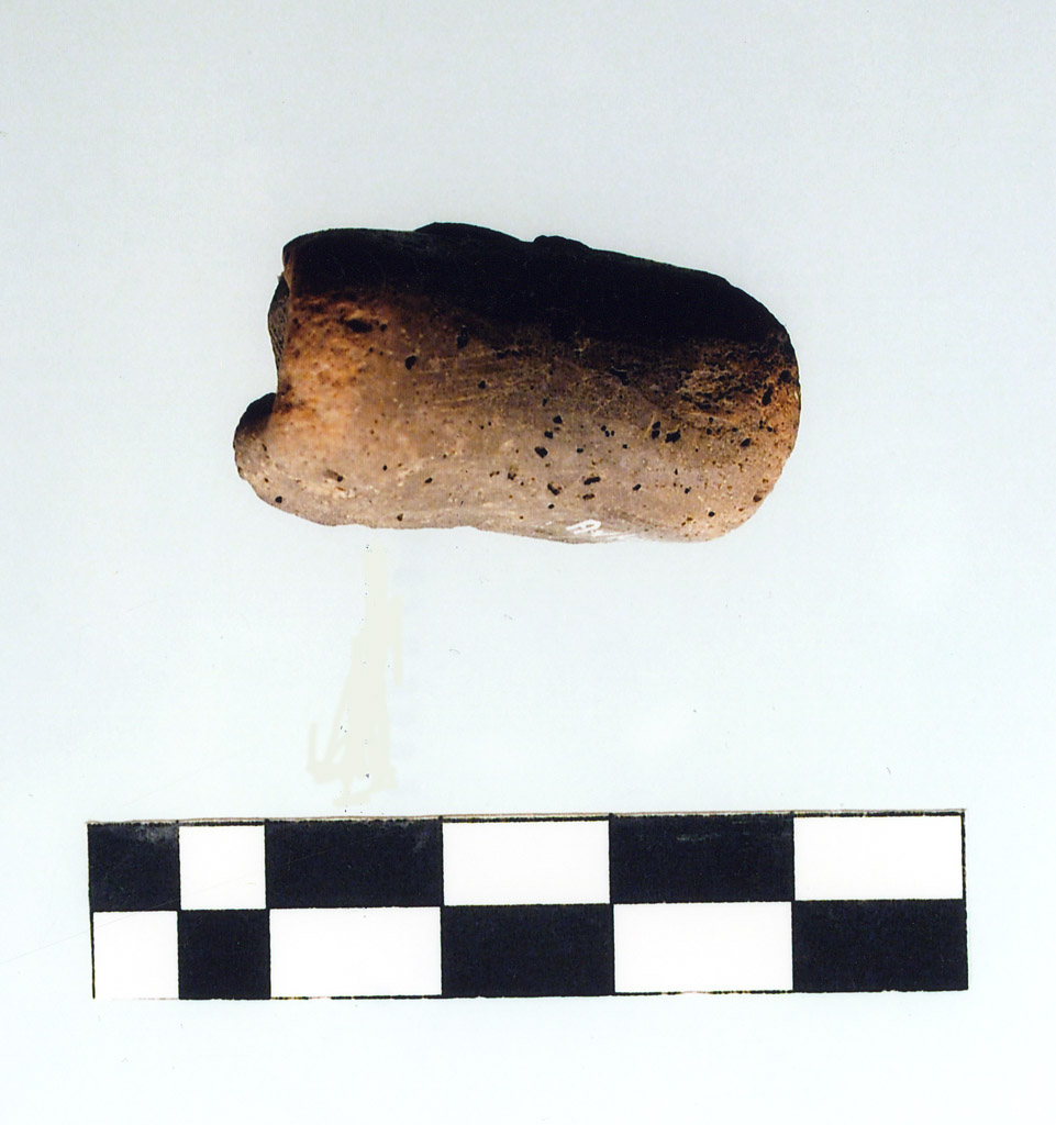 ansa a rocchetto - Diana (prima metà III millennio neolitico finale)