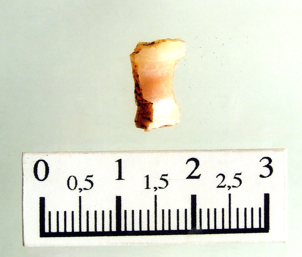 troncatura marginale doppia - fase Rendina II (neolitico antico)
