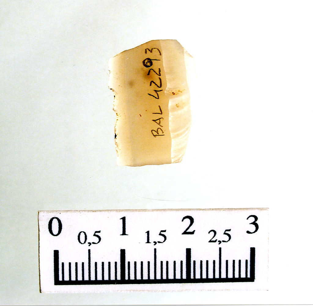 elemento di falcetto - fase Rendina II (neolitico antico)