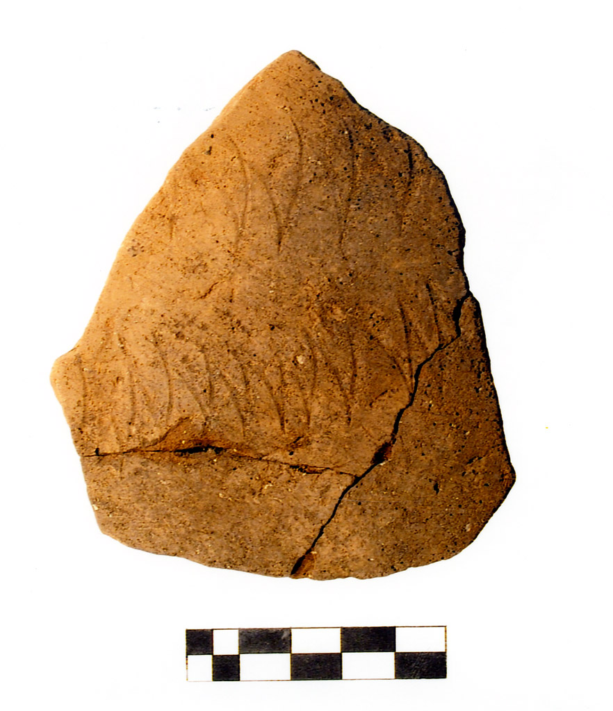 vaso/ parete - neolitico antico (prima metà V millennio millennio VI/ V a.C)